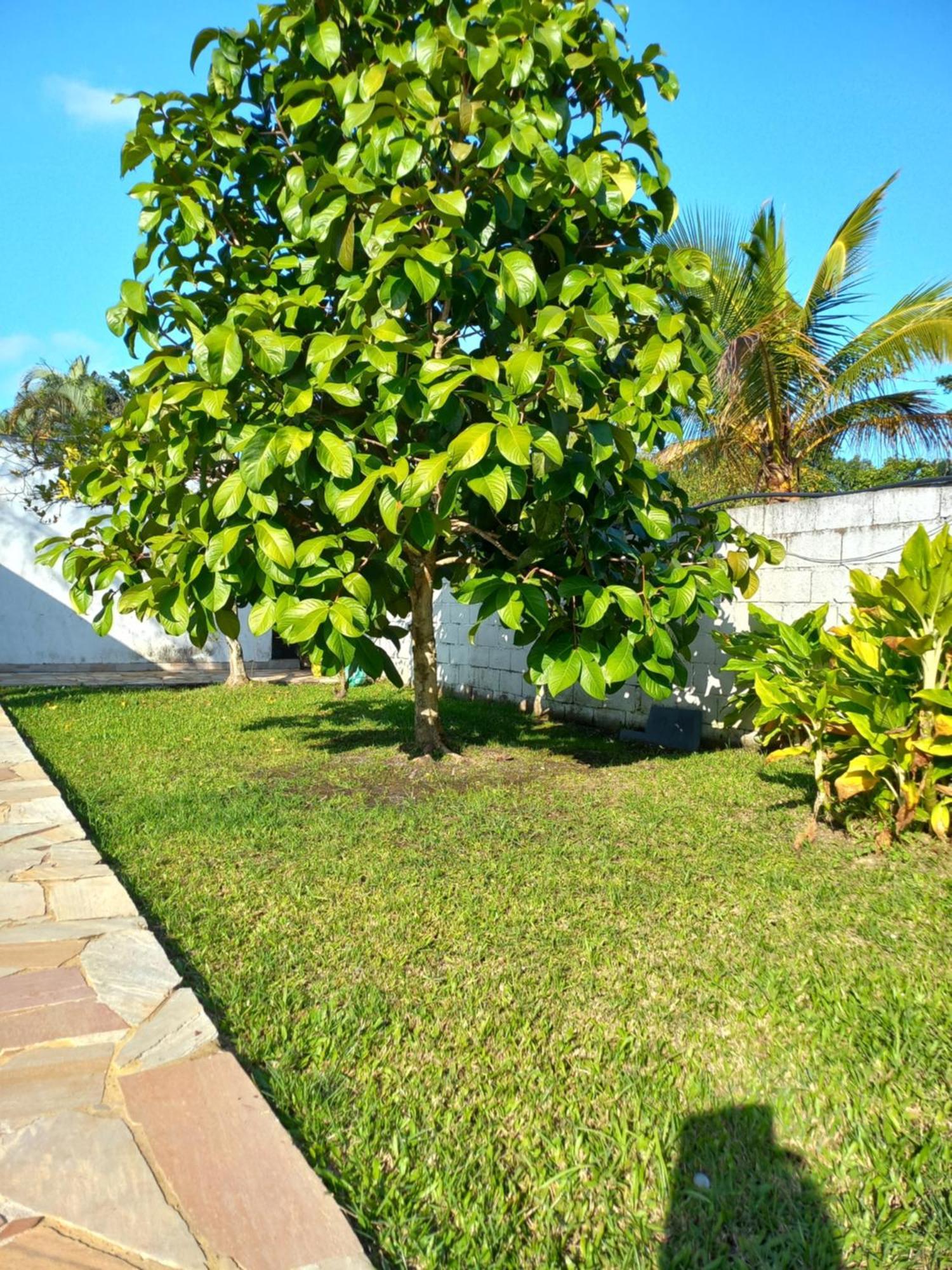 Chacara Sitio Casa Peruibe Praia المظهر الخارجي الصورة